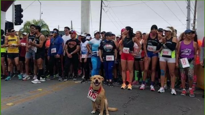 VIDEO | Las redes aman al “Chicles”, un atleta que no vende Avon pero si corre maratones