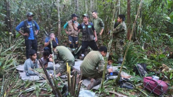 La historia de los niños perdidos en la selva de Colombia que sobrevivieron 40 días solos