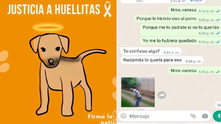 Justicia para Huellitas: Estudiante de Puebla adopta a perrito para matarlo y compartirlo en redes