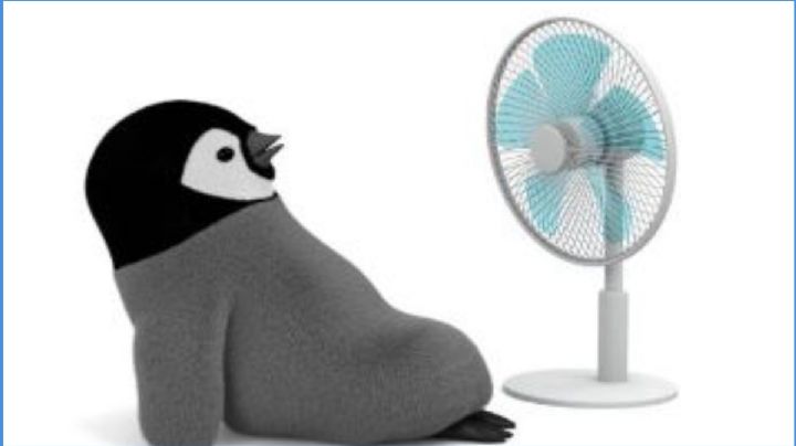 Los mejores ventiladores de pedestal según Profeco para soportar la ola de calor en México