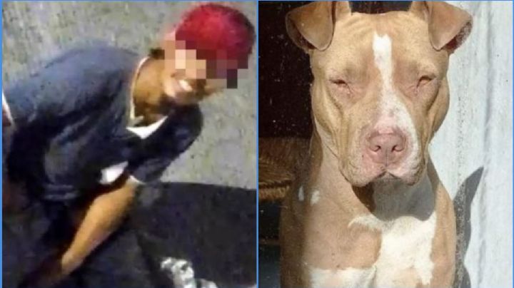 Perrita es violada por un sujeto, lo denuncian y ahora amenaza a la dueña de la mascota