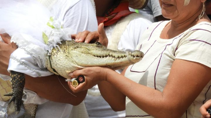 Hombre se casa con un cocodrilo: La insólita boda que solo ocurre en OAXACA