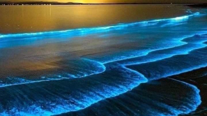 Laguna de Manialtepec, el paraíso bioluminiscente de OAXACA para perderse entre sus colores