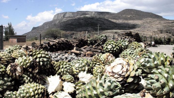 ¿Qué se celebra el tercer vienes de julio en OAXACA?