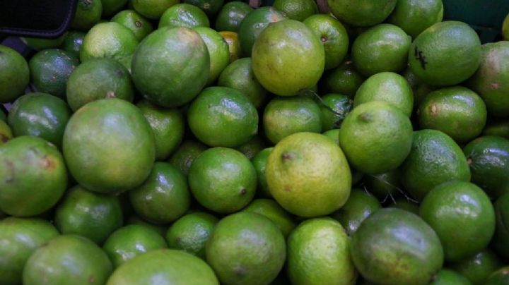 Kilo de limón se vende hasta en 80 pesos: ¿Por qué subió tanto su precio?