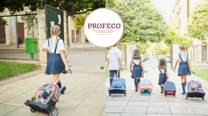 Las mejores marcas de mochilas de carrito para niños según Profeco; precios y dónde comprarlas
