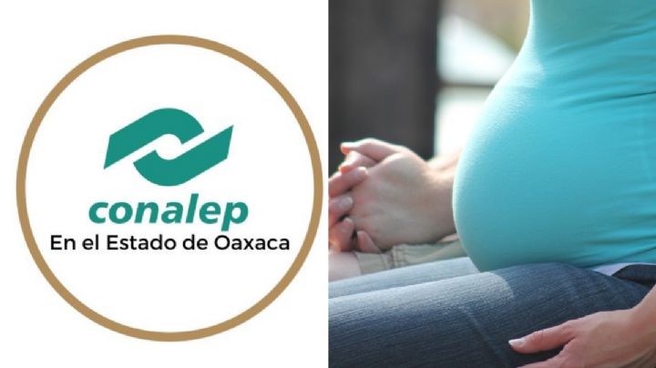 Conalep de Oaxaca discrimina a directora y la despide por quedar embarazada