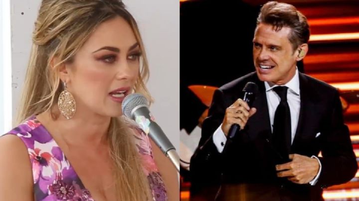 Aracely Arámbula ataca a Luis Miguel: 'Ser ídolo no quiere decir que no pueda ser un buen papá'