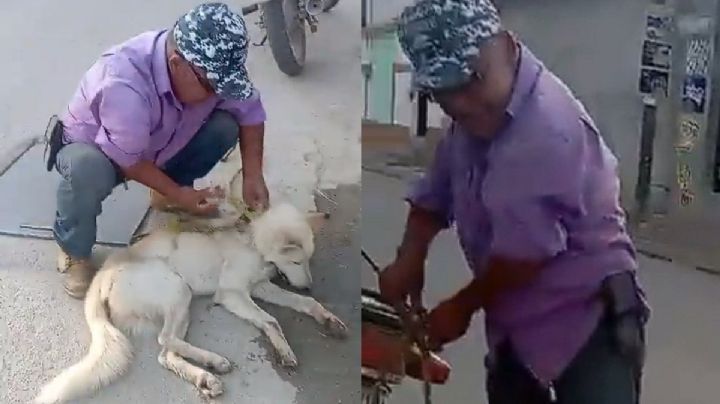 Video de hombre que arrastra a un perrito en Etla causa indignación en Oaxaca