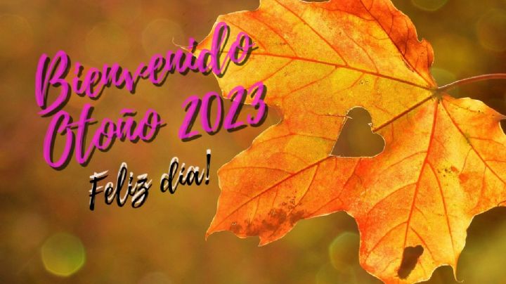 Bienvenido Otoño 2023: Imágenes con frases bonitas para celebrar la llegada de la estación