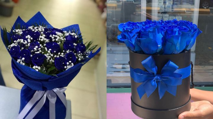 ¿Por qué se regalan flores azules el 3 de octubre?