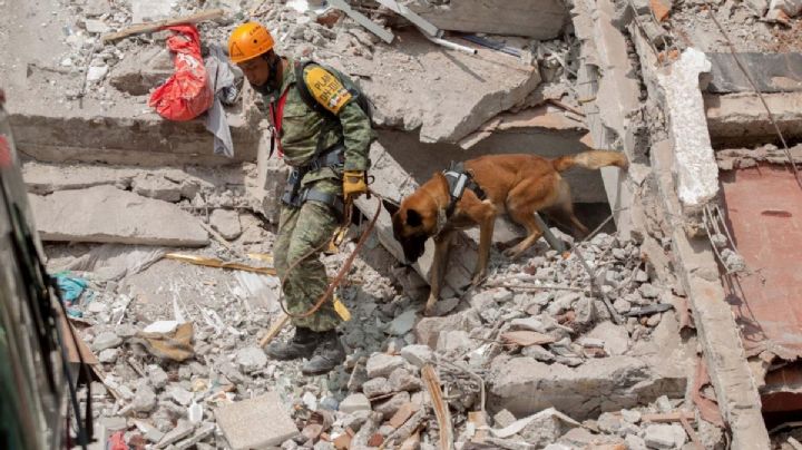 Temblores en septiembre: ¿Se pueden predecir los sismos en México?