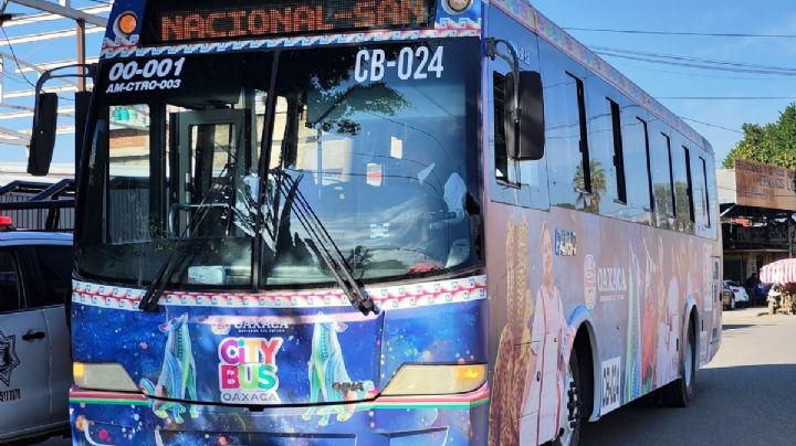 CityBus Oaxaca lanza su aplicación para ver rutas y camiones en tiempo real:¿Cómo funciona?