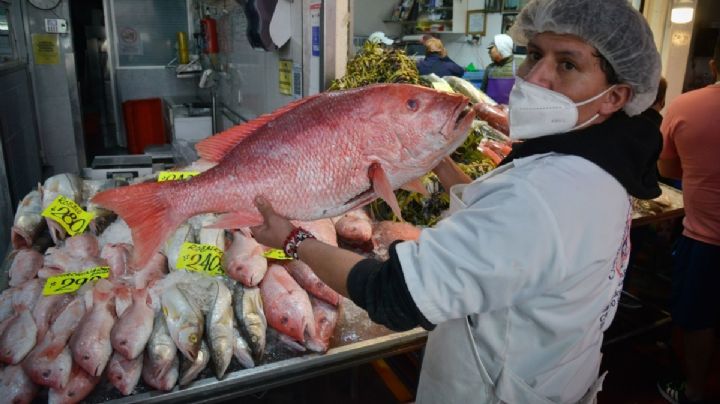 Tianguis de Cuaresma 2024 en OAXACA: Así puedes participar vendiendo pescado fresco