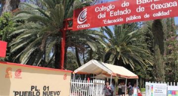 Directora del COBAO en la mira: La FGEO abre carpeta de investigación contra Angélica García por falsificación de firmas