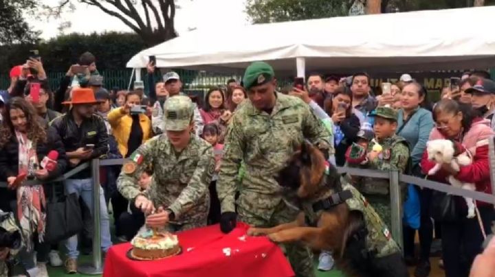 VIDEO | Niños y adultos festejan el cumpleaños de ‘Arkadas’ el heredero de Proteo en la Sedena