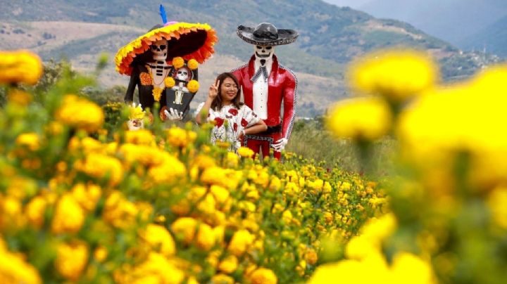 ¿Cómo se celebra el Día de Muertos en OAXACA? Así es la fiesta de las ánimas el 2 de noviembre