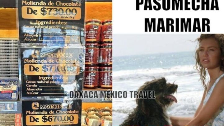 Molienda de ORO: usuarios en redes denuncian PRECIOS carísimos en tienda de OAXACA