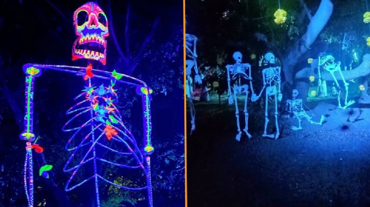 El Bosque de las Calacas, un lugar para conocer en Día de Muertos a menos de 30 minutos de Oaxaca