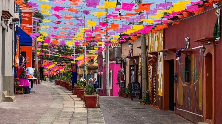 Día de Muertos en OAXACA: ¿Qué eventos habrá en el Barrio de Xochimilco?