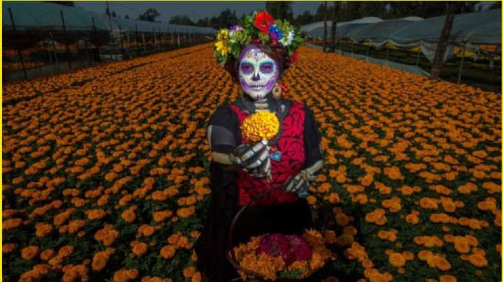 Día de Muertos: 25 razones por las que el 2 de noviembre es la celebración más hermosa en OAXACA