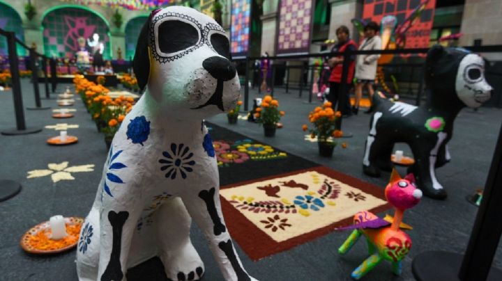 Papel picado para mascotas: Plantillas para adornar tu altar de Día Muertos