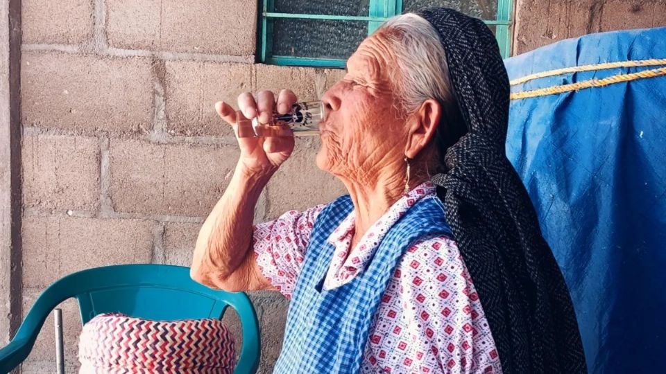 Conoce más sobre la Kalanka.