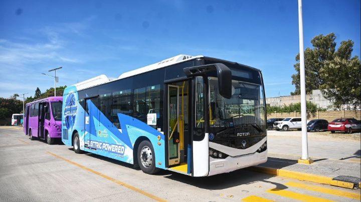 CityBus: ¿Pueden viajar mascotas en las unidades de transporte de OAXACA?