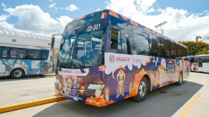 Tres PARADEROS del CityBus serán puestos a consulta popular