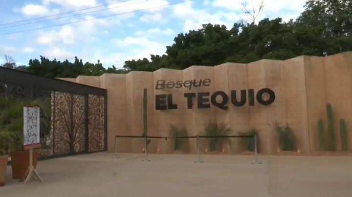 Rehabilitan Bosque El Tequio, el pulmón verde de la ciudad de OAXACA