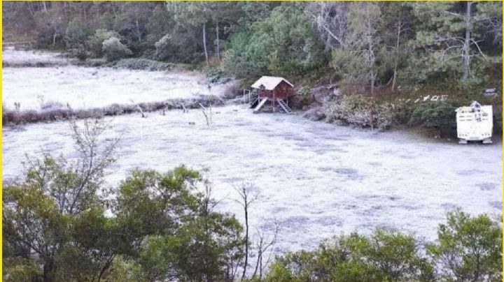 ¿Hay nieve en OAXACA? Lugares para disfrutar del ambiente nevado en el invierno 2024