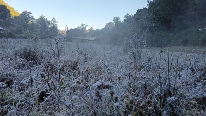 Diciembre empieza helado: Fuertes lluvias y bajas temperaturas golpearán a OAXACA el fin de semana