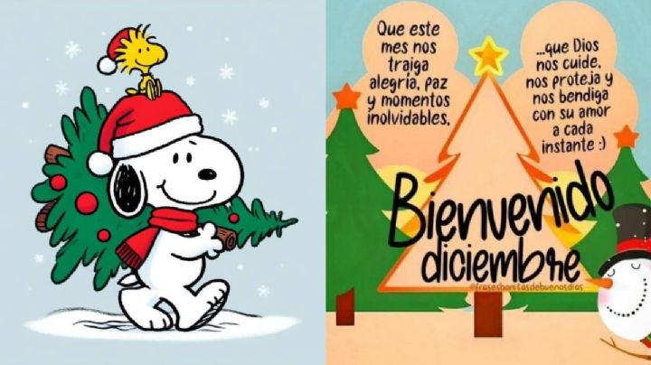 ¡Bienvenido diciembre! 25 mensajes bonitos para enviar por WhatsApp y recibir al último mes 2024