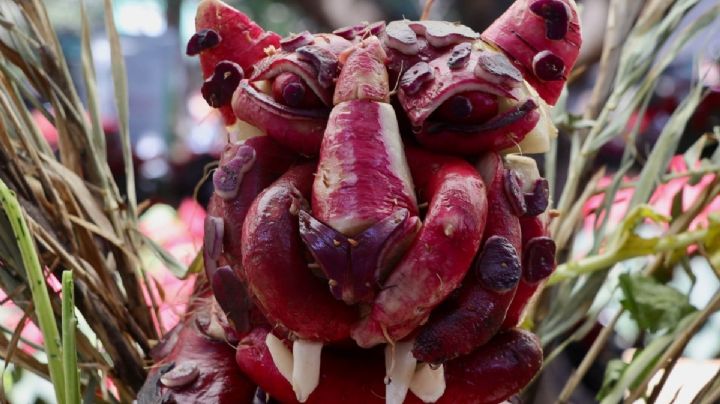 La Noche de Rábanos 2024 en OAXACA ya tiene FECHA: Todo lo que debes saber sobre peculiar fiesta