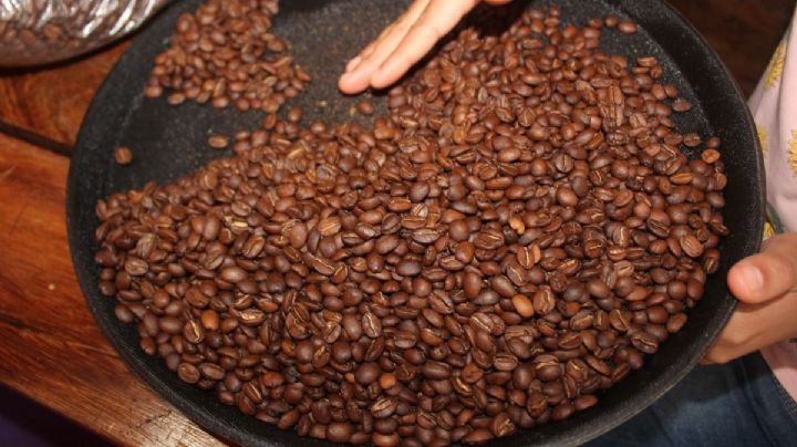 ¿Sin plan en OAXACA? Llega el Festival del Café en Pluma Hidalgo este 28 y 29 de diciembre