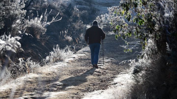 Mucho frío en OAXACA: Advierten descenso de temperaturas, heladas y vientos fuertes por la noche