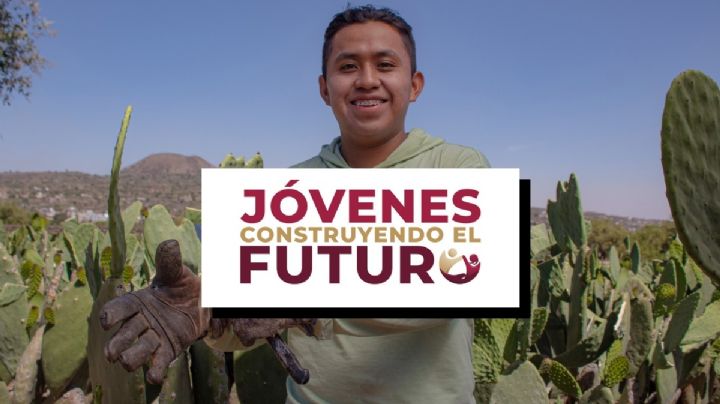 Jóvenes Construyendo el Futuro OAXACA: Habilitan plataforma para elegir centro de trabajo