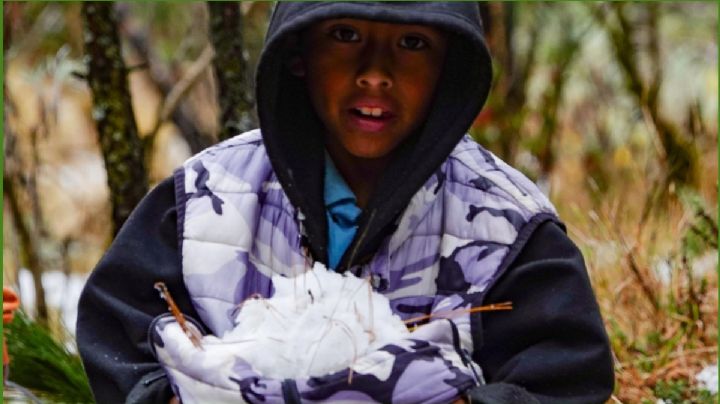 Masa Polar y Frente Frío congelará OAXACA con temperaturas bajo cero este 18 de febrero