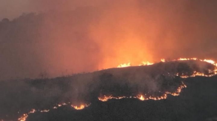 Infierno en OAXACA: Logran sofocar fuerte incendio forestal en Cuilápam | FOTOS