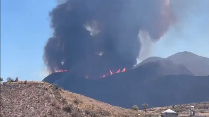 OAXACA | Claman ayuda para apagar incendio forestal en el Valle de Tlacolula