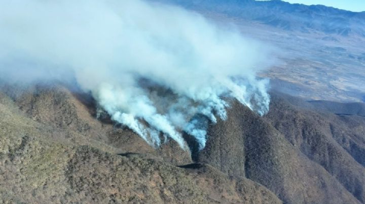 Incendio forestal en OAXACA que ha cobrado 5 vidas fue provocado: Gobierno