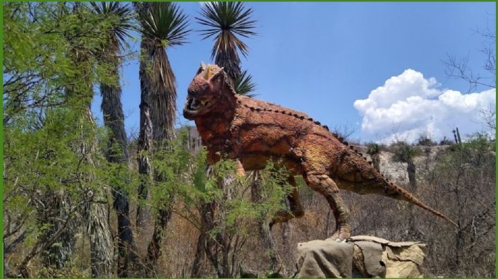 ¿Cómo llegar al santuario de fósiles de dinosaurios en la MIXTECA?