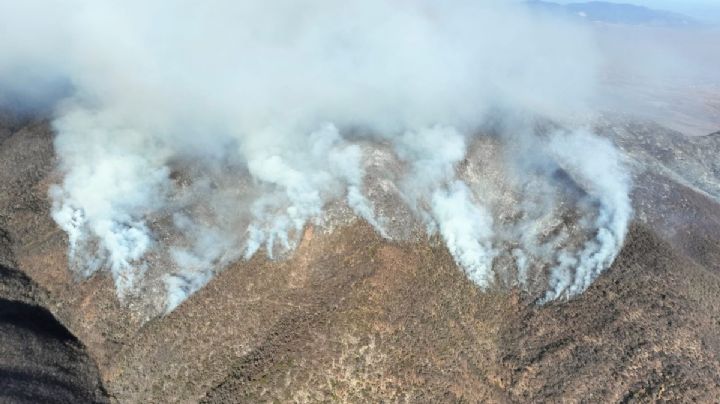 Incendio en Quiaviní hoy 2 de marzo: Actualización del bloqueo y emergencia en OAXACA