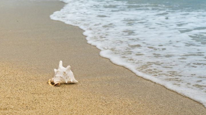 Estas son las 17 playas de OAXACA más limpias y aptas para visitar en Semana Santa 2024