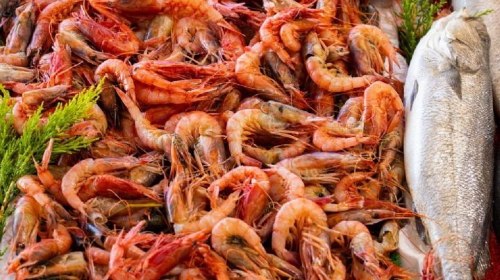 Camarones, pescando y mariscos suben de PRECIO durante Cuaresma: ¿Cuánto cuestan?