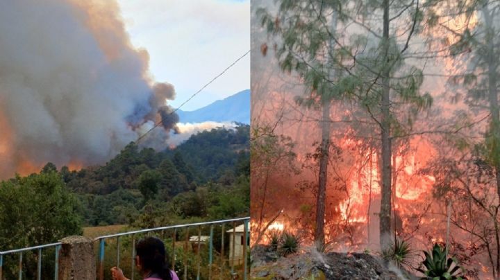 Habitantes de San Juan Quiotepec, OAXACA, piden ayuda porque incendios forestales amenazan sus casas