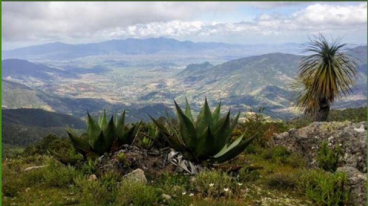 ¿Cómo estará el CLIMA en OAXACA este domingo y lunes de inicios de MARZO