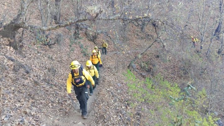 Sofocan incendio en el Quiaviní, OAXACA; rinden minuto de silencio a comuneros fallecidos