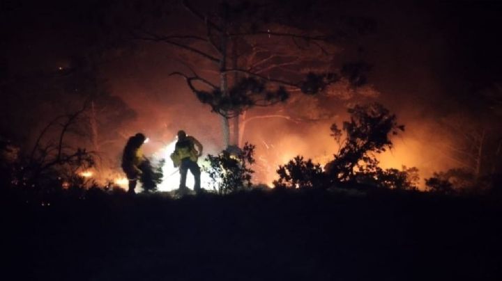 Incendios forestales en OAXACA hoy domingo 10 DE MARZO