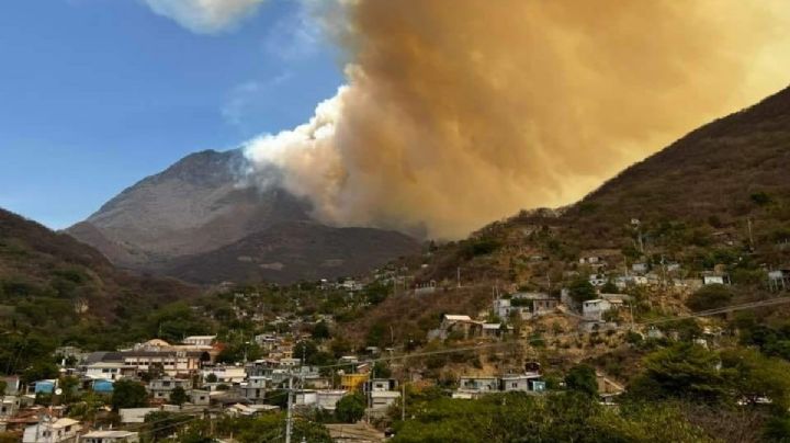 Voraz incendio arrasa con fauna y flora endémica en Lachiguiri, OAXACA | FOTOS